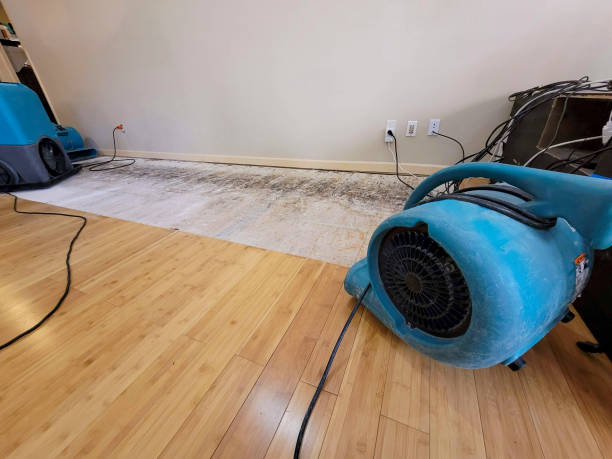 Professional Water Damage Repair technician working in Maplewood, MN